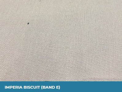 Imperia Biscuit (Band E)